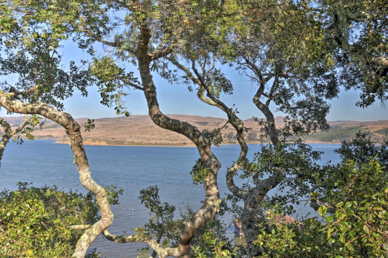 Hillside Home With Deck And Views Of Tomales Bay! Inverness Dış mekan fotoğraf